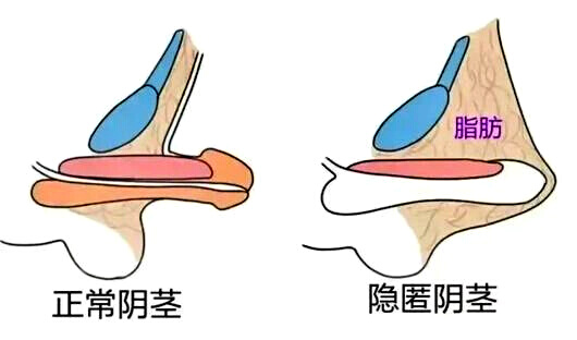 1792386977485657.jpg 图片2.jpg