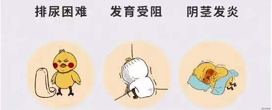 1792387004129187.jpg 图片1.jpg